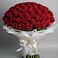 Букет 101 Красная роза Блэк Мэджик в Шире