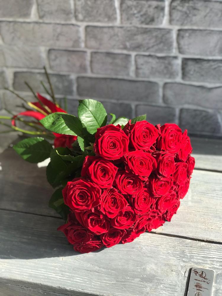 Букет Красные розы Фридом в Шире