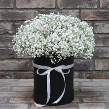 Цветочная композиция из Гипсофила в шляпной коробке в Шире