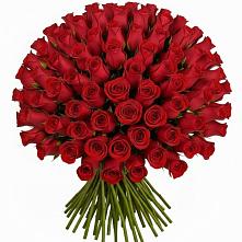 Букет Красные розы Чери Лав в Шире