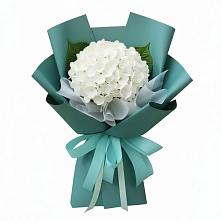 Букет цветов из:  Гортензия в Шире